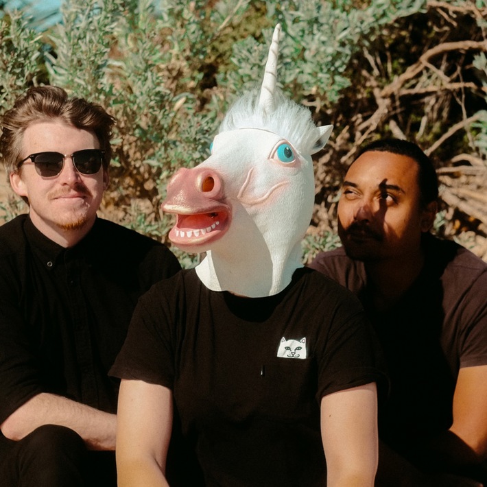 The Great Emu War Casualties