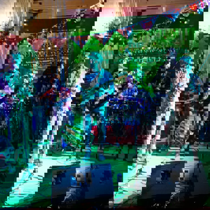 Electrodub Experiment